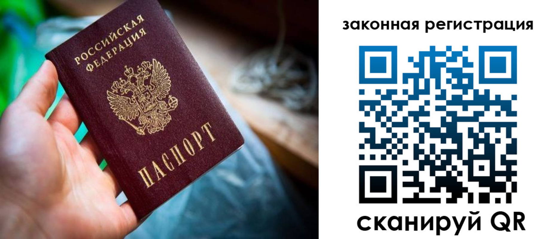 прописка в Кольчугино